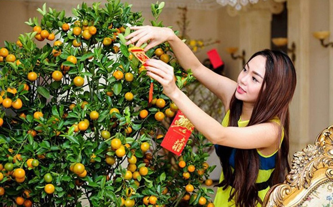 Cảnh báo đặc biệt tới các gia đình đang bày cây quất ngày Tết- Ảnh 3. Cảnh báo đặc biệt tới các gia đình đang bày cây quất ngày Tết- Ảnh 3.