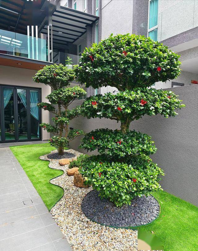 Người xưa dặn "C&acirc;y &acirc;m kh&ocirc;ng v&agrave;o nh&agrave;, c&acirc;y dương kh&ocirc;ng trồng mộ": Nghe th&igrave; t&acirc;m linh nhưng sự thật lại v&ocirc; c&ugrave;ng khoa học!- Ảnh 1.