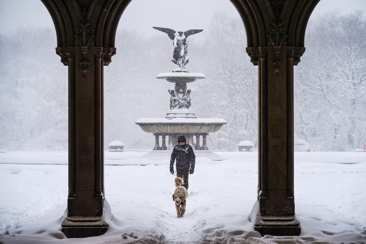 Vừa tỉnh dậy, New York đ&atilde; h&oacute;a xứ tuyết, nhưng ph&iacute;a sau khung cảnh cổ t&iacute;ch n&agrave;y l&agrave; g&igrave;?- Ảnh 24.