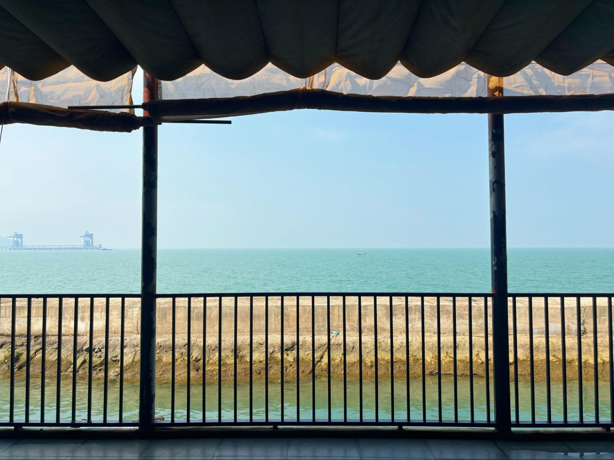 Du Xu&acirc;n dọc miền biển: Gh&eacute; Vũng &Aacute;ng ăn mực nhảy - đệ nhất gỏi của giới s&agrave;nh ăn- Ảnh 6.