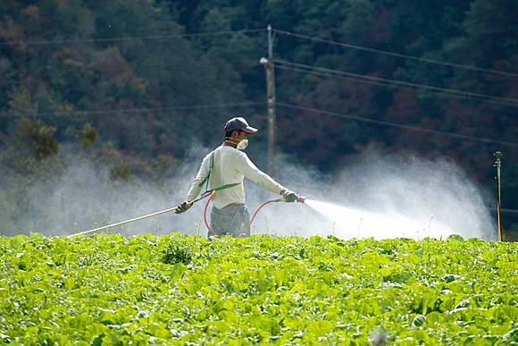 Bác sĩ chuyên khoa ung thư cảnh báo 5 vật dụng "cho thêm tiền" cũng ĐỪNG để trong nhà- Ảnh 2. Bác sĩ chuyên khoa ung thư cảnh báo 5 vật dụng