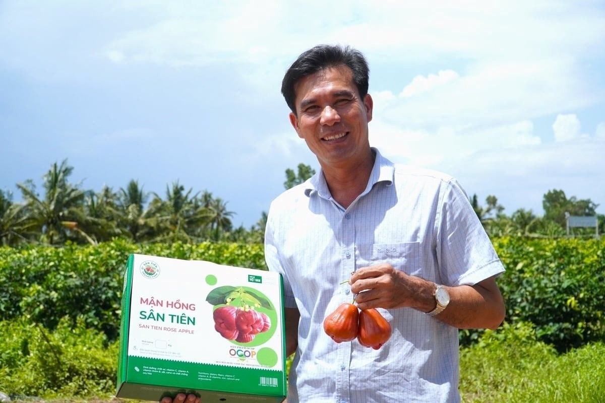 Đắt hơn sầu ri&ecirc;ng, loại quả 230.000đ/kg gi&uacute;p anh n&ocirc;ng d&acirc;n miền T&acirc;y l&atilde;i 2 tỷ/ha bất chấp nước mặn- Ảnh 1.