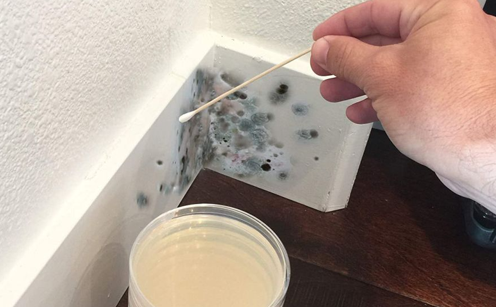 Thời tiết miền Bắc bước v&agrave;o chuỗi ng&agrave;y nồm ẩm: Cẩn trọng với nhiều bệnh l&acirc;y truyền- Ảnh 2.