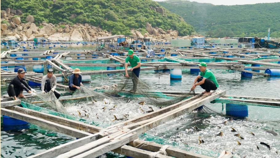 3 trụ cột chiến lược KLC Group x&aacute;c định để song h&agrave;nh c&ugrave;ng ph&aacute;t triển đất nước, hiện thực h&oacute;a kh&aacute;t vọng to&agrave;n cầu- Ảnh 1.