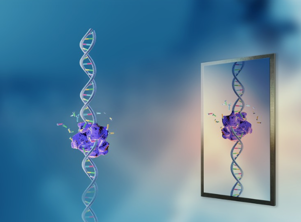 Lời cảnh b&aacute;o về thứ c&oacute; thể khiến Tr&aacute;i đất tận thế- Ảnh 2.