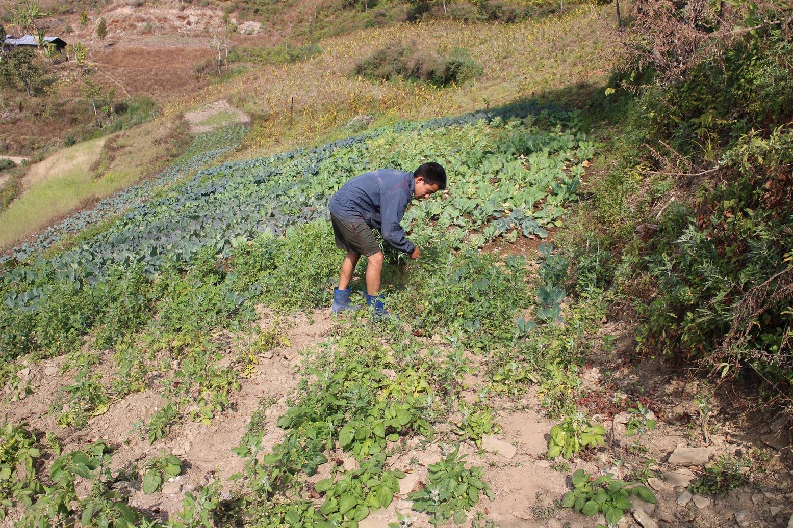 Từ lương 1,9 tỷ đồng/năm xuống còn 22 triệu đồng/tháng: Người đàn ông có học vị tiến sĩ nói mình mới là "kẻ chiến thắng" thực sự- Ảnh 3. Từ lương 1,9 tỷ đồng/năm xuống còn 22 triệu đồng/tháng: Người đàn ông có học vị tiến sĩ nói mình mới là "kẻ chiến thắng" thực sự- Ảnh 3.