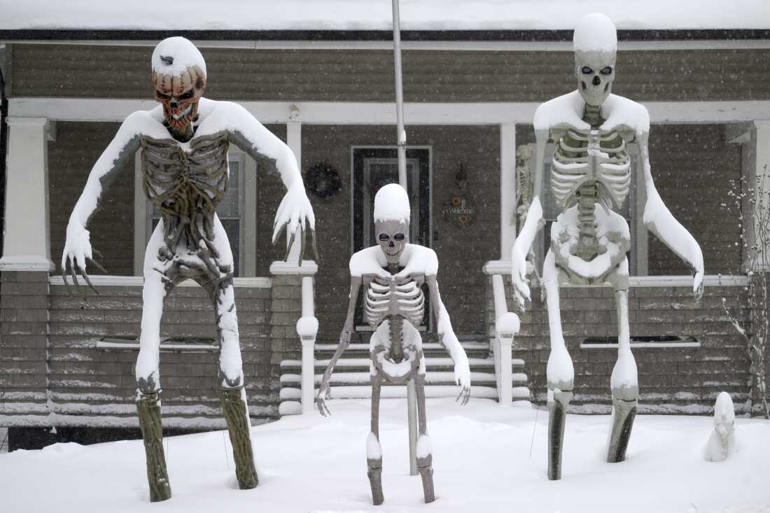 Ph&iacute;a sau khung cảnh New York trắng x&oacute;a như cổ t&iacute;ch những ng&agrave;y n&agrave;y- Ảnh 25.