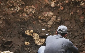 Trời trở nồm, nguy&ecirc;n tắc "2 kh&ocirc;ng" gi&uacute;p nh&agrave; hạn chế đổ mồ h&ocirc;i, nhất c&aacute;i số 1 kh&ocirc;ng tốn tiền- Ảnh 4.