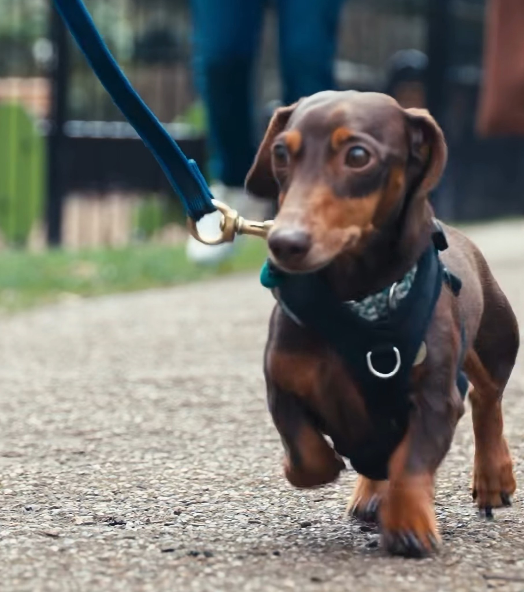 Cầu thủ b&oacute;ng đ&aacute; chi 35 triệu/tuần thu&ecirc; người 