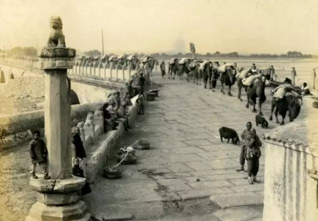 13 bức ảnh hiếm về Tết đầu thời nh&agrave; Thanh: Khung cảnh thật khiến nhiều người nghi ngờ phim truyền h&igrave;nh- Ảnh 5.