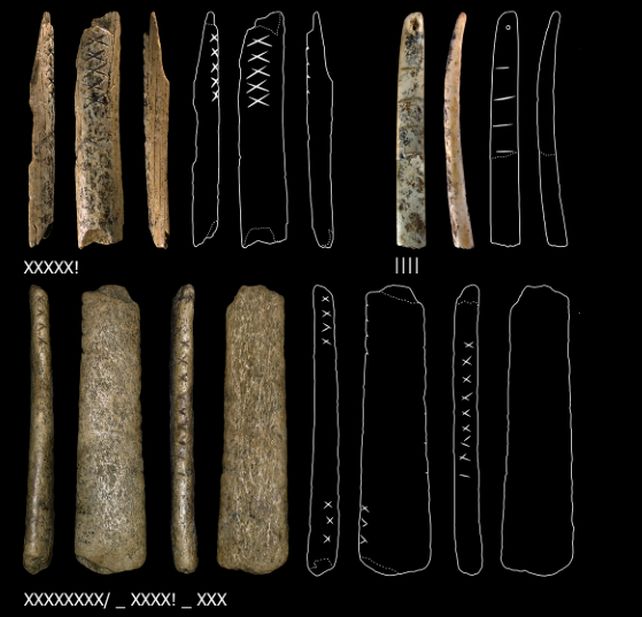 Bức tượng 40.000 tuổi tiết lộ bước ngoặt của loài người- Ảnh 2. Bức tượng 40.000 tuổi tiết lộ bước ngoặt của loài người- Ảnh 2.