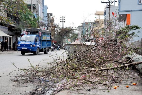 Cảnh b&aacute;o đặc biệt tới c&aacute;c gia đ&igrave;nh đang b&agrave;y hoa đ&agrave;o ng&agrave;y Tết- Ảnh 2.