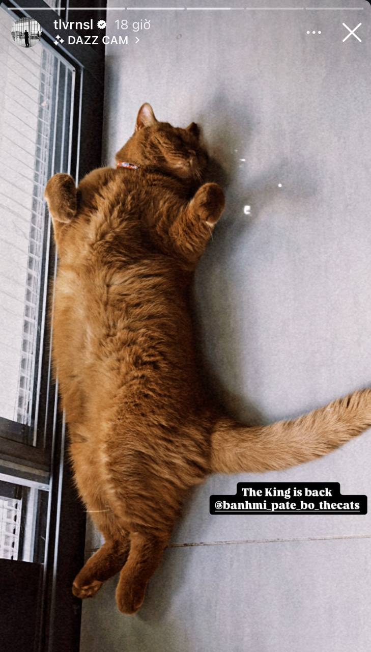 Điều khó phân chia của Tóc Tiên và Touliver sau ly hôn- Ảnh 1. Điều khó phân chia của Tóc Tiên và Touliver sau ly hôn- Ảnh 1.