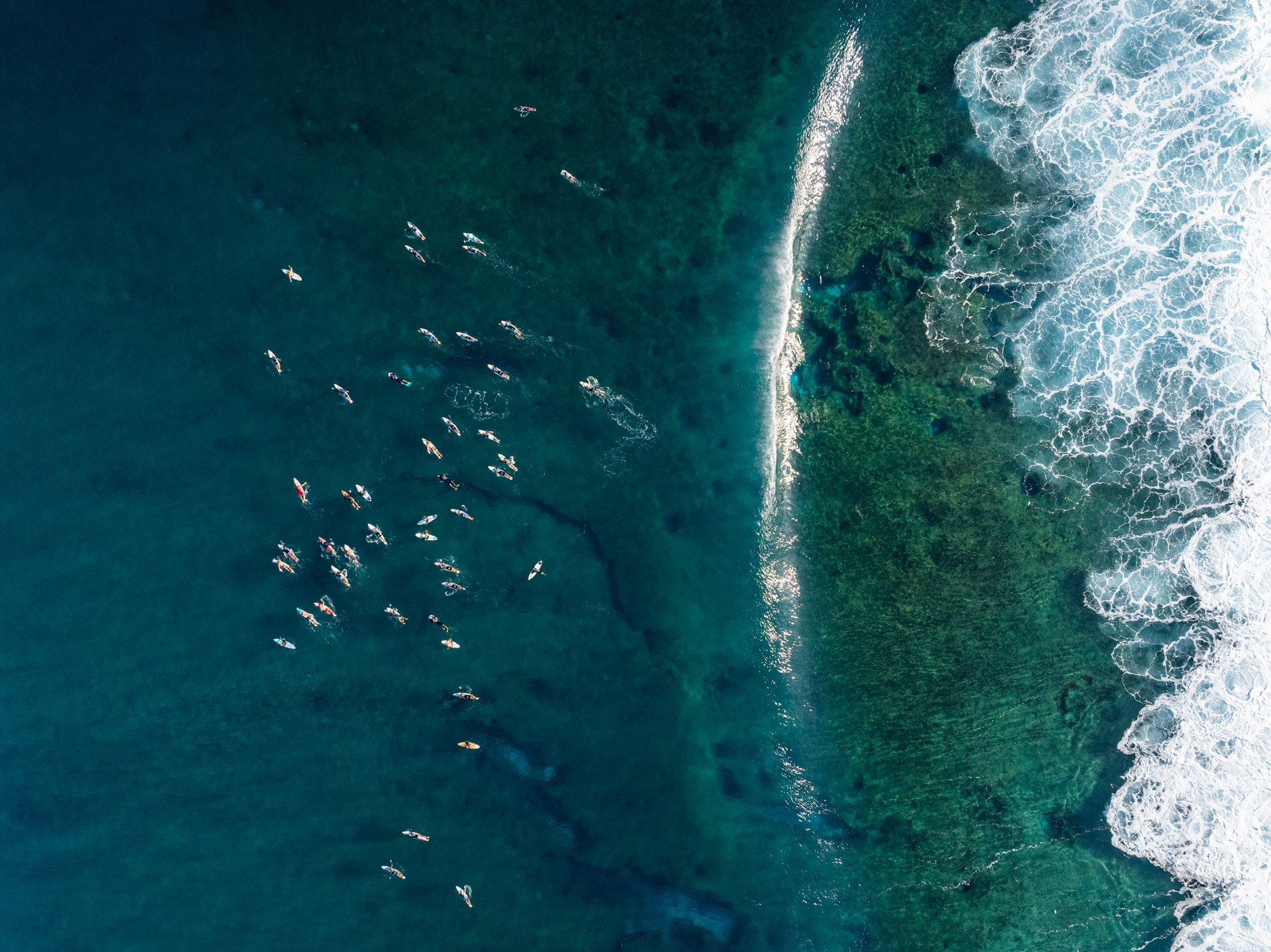 Chuyện g&igrave; đang xảy ra ở Hawaii?- Ảnh 1.