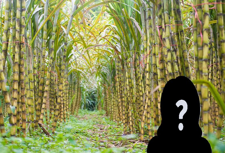 Cụ b&agrave; U90 sở hữu khối t&agrave;i sản hơn 400 tỷ đồng, đ&uacute;t t&uacute;i hơn 40 tỷ tiền cổ tức trong v&ograve;ng 1 năm- Ảnh 1.