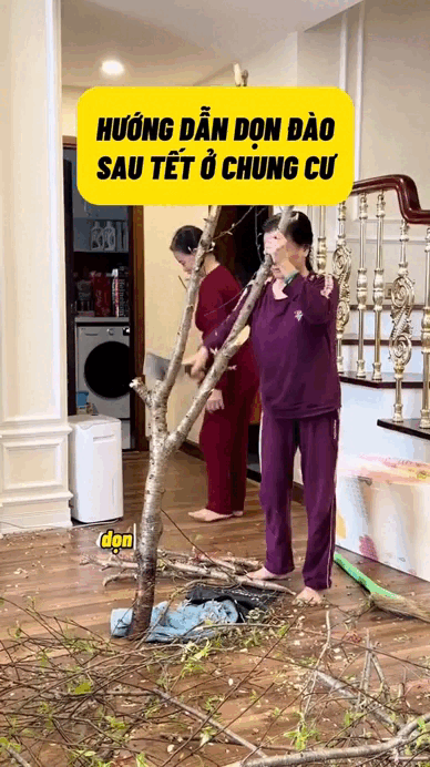 Đại hội dọn nhà sau Tết: Người miền Tây "khổ" nhất Việt Nam- Ảnh 1. Đại hội dọn nhà sau Tết: Người miền Tây "khổ" nhất Việt Nam- Ảnh 1.