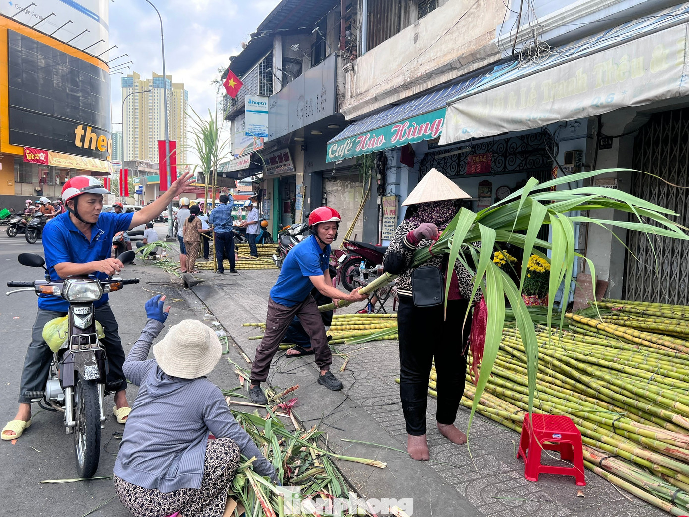 Nhộn nhịp 'săn lộc' ở chợ m&iacute;a mỗi năm mở một lần tại TPHCM- Ảnh 5.