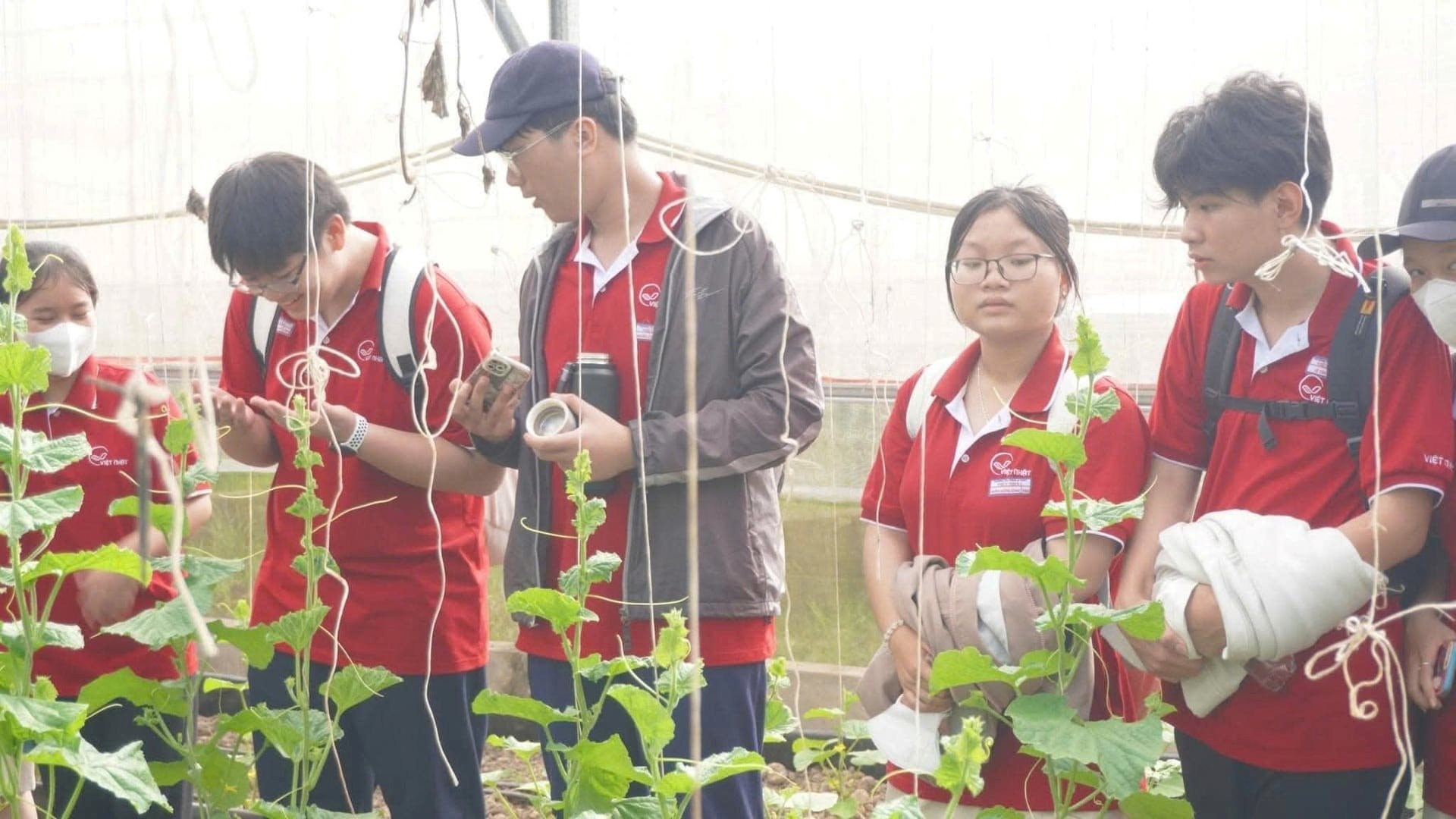 Anh kỹ sư lập tr&igrave;nh bỏ phố về qu&ecirc;, x&acirc;y 'resort 5 sao' cho rau, thu h&uacute;t 10.000 người đến- Ảnh 3.