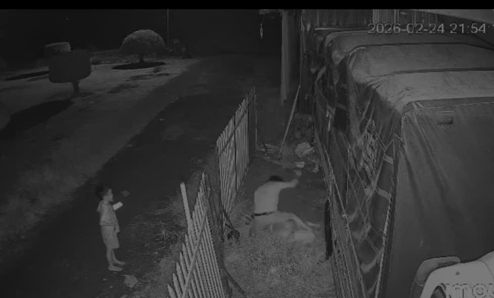 Đồng Th&aacute;p: Chồng đ&acirc;m vợ bất chấp con nhỏ cầu xin "cha đừng xử l&yacute; mẹ"- Ảnh 1.