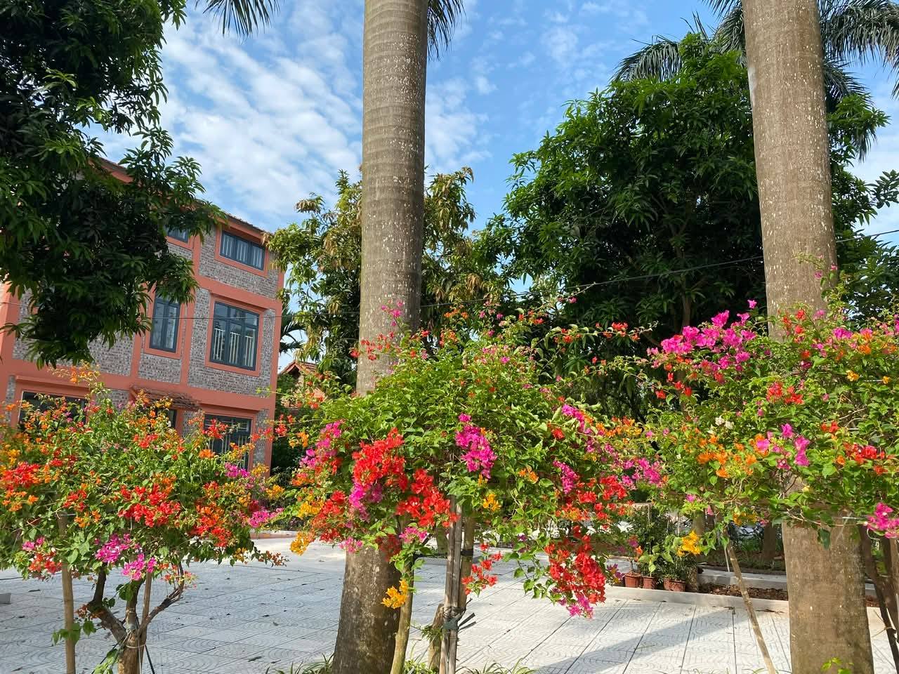 Một viện dưỡng l&atilde;o ở r&igrave;a H&agrave; Nội: Gần n&uacute;i Ba V&igrave;, c&oacute; ph&ograve;ng ở như căn hộ chung cư thu nhỏ- Ảnh 6.