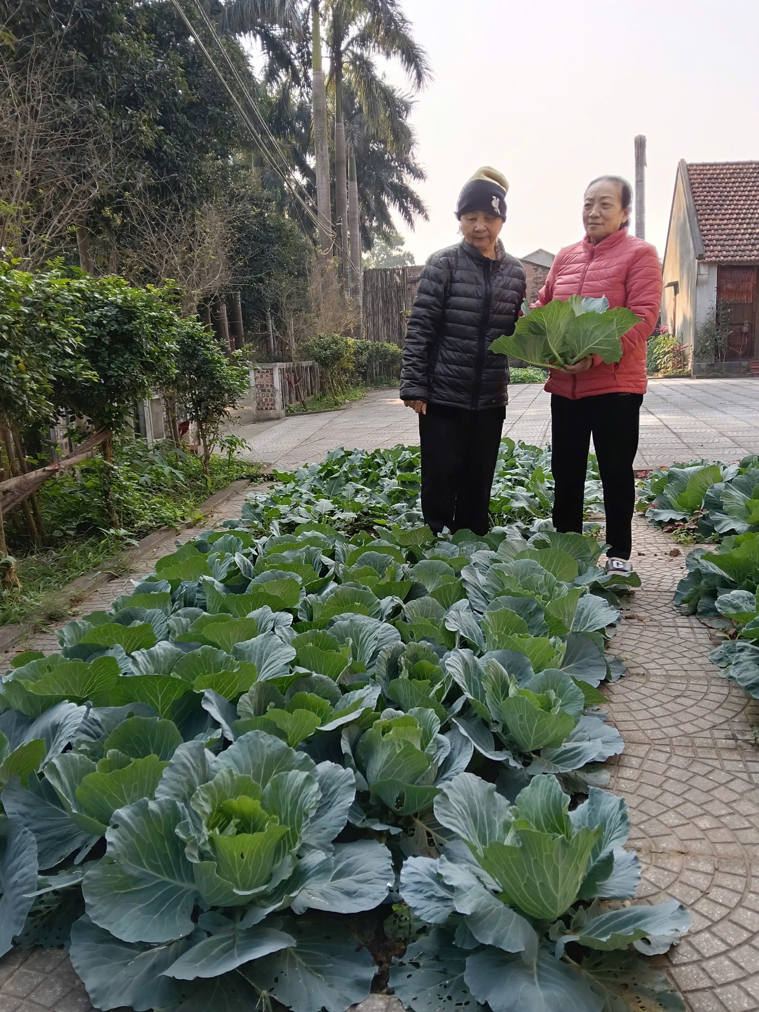 Một viện dưỡng l&atilde;o ở r&igrave;a H&agrave; Nội: Gần n&uacute;i Ba V&igrave;, c&oacute; ph&ograve;ng ở như căn hộ chung cư thu nhỏ- Ảnh 3.