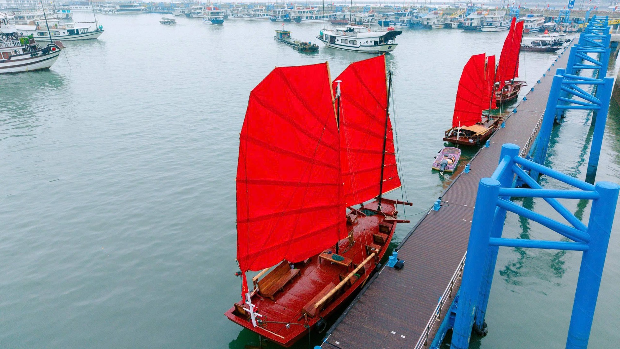 Ch&iacute;nh thức: Tạm dừng hoạt động của thuyền buồm đỏ ven bờ vịnh Hạ Long, l&yacute; do l&agrave; g&igrave;?- Ảnh 8.