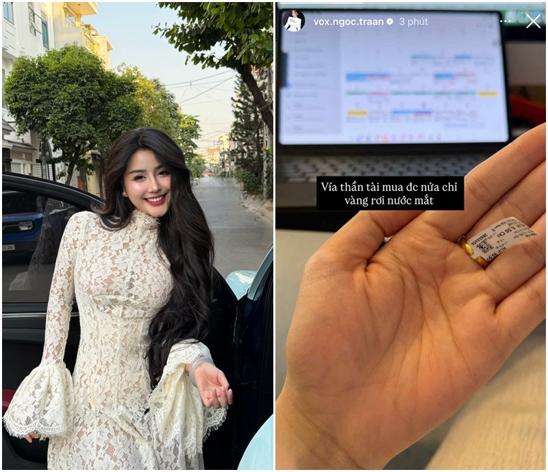 Người nổi tiếng, hot girl ở Việt Nam l&agrave;m g&igrave; m&agrave; GI&Agrave;U thế n&agrave;y?- Ảnh 8.