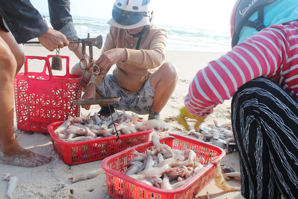 Loại c&aacute; da trơn, kh&ocirc;ng c&oacute; vảy, &iacute;t xương, nhiều ở v&ugrave;ng Thanh H&oacute;a, Nghệ An, H&agrave; Tĩnh: Nhiều chất m&agrave; lại rẻ- Ảnh 4.
