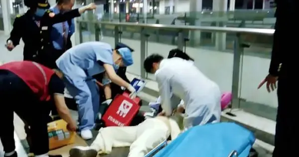 Nữ sinh năm nhất ngồi t&agrave;u 31 tiếng bất ngờ ngừng tim: B&aacute;c sĩ cảnh b&aacute;o hội chứng 