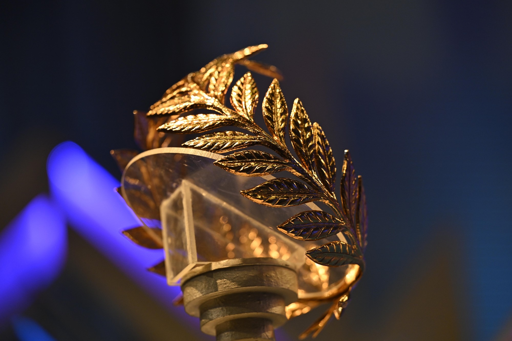 Sự thật về v&ograve;ng nguyệt quế Olympia- Ảnh 2.