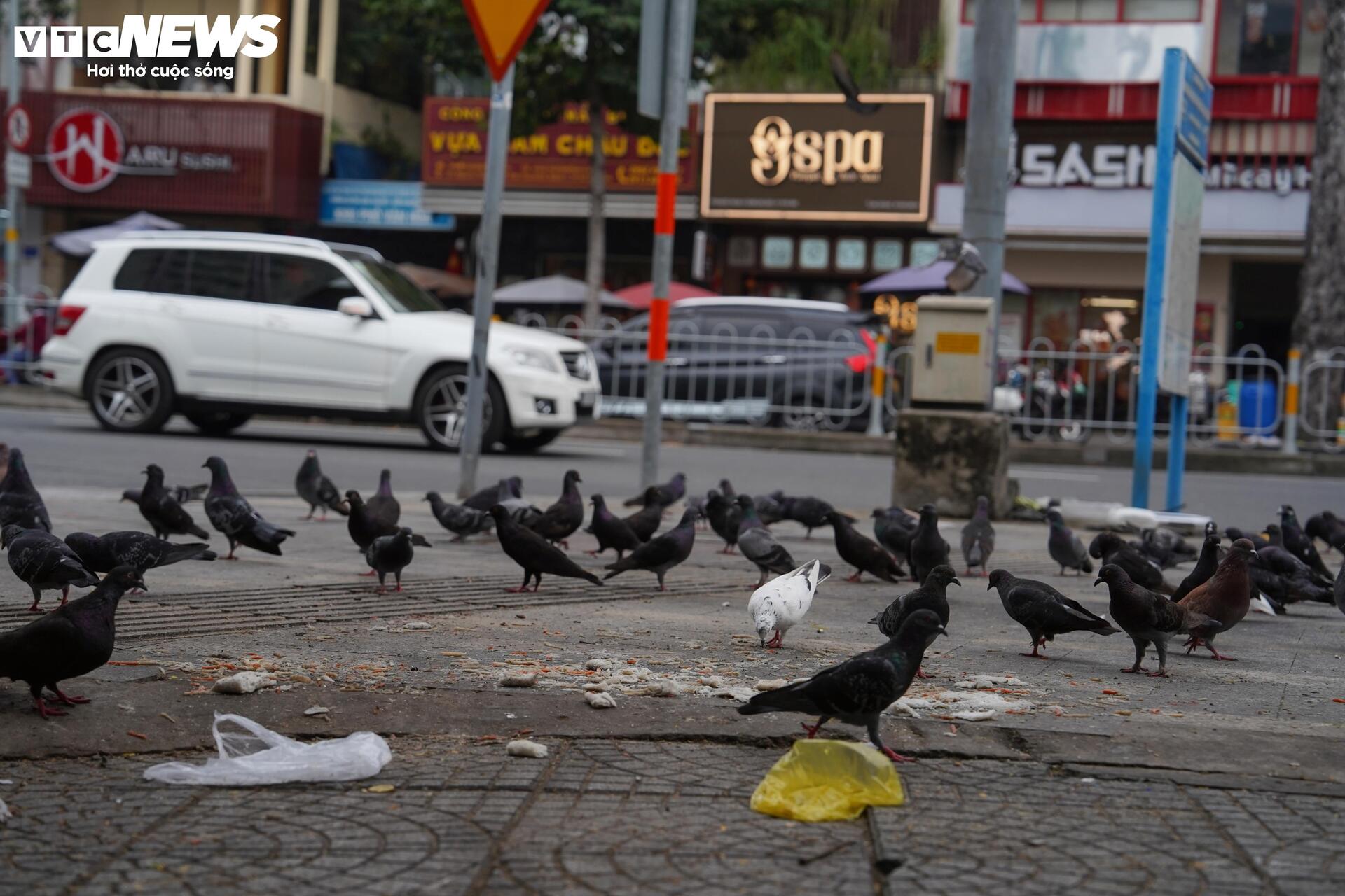 Xe đạp c&ocirc;ng cộng TP.HCM ế ẩm, du kh&aacute;ch ngại d&ugrave;ng v&igrave; l&yacute; do kh&oacute; tin- Ảnh 16.