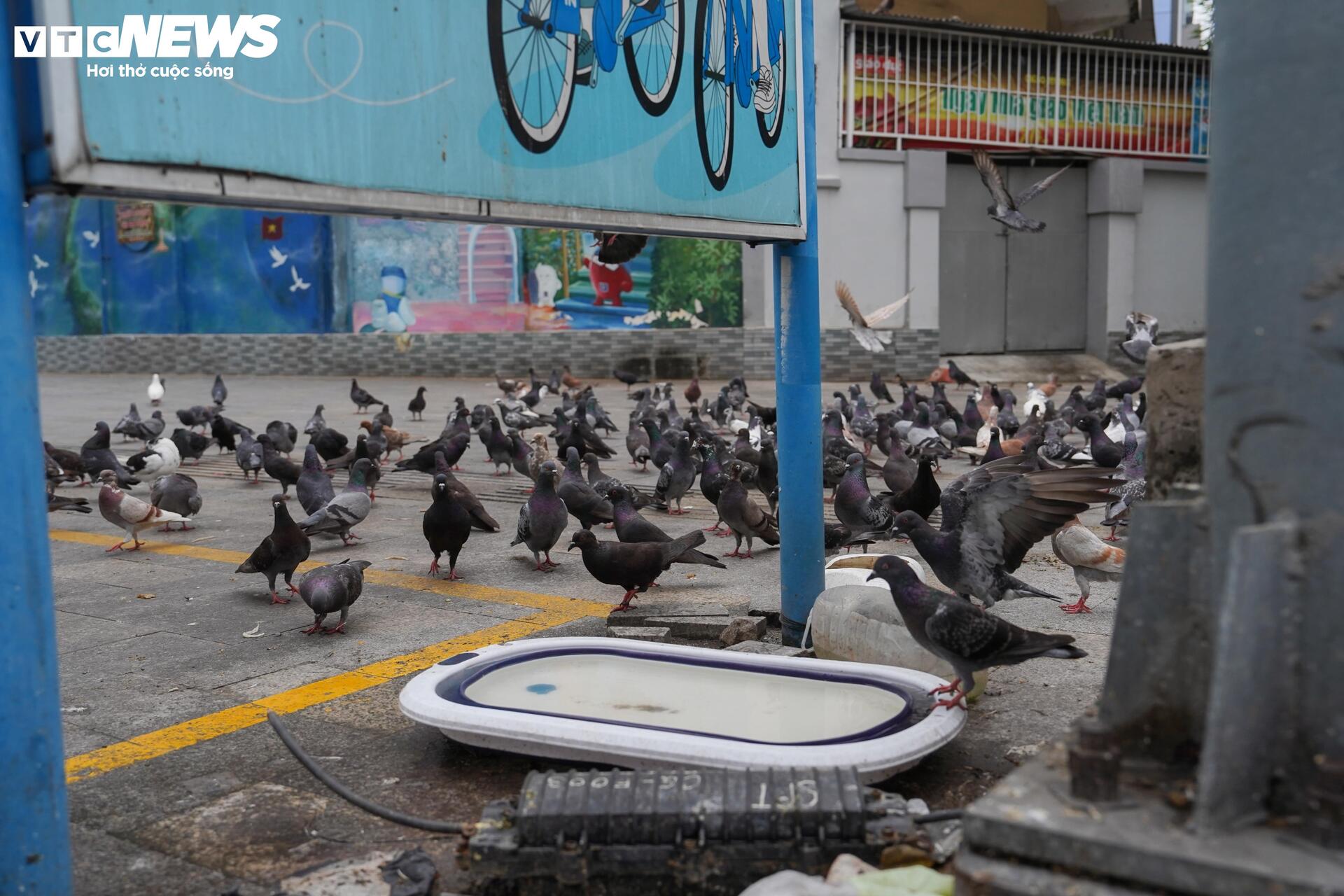 Xe đạp c&ocirc;ng cộng TP.HCM ế ẩm, du kh&aacute;ch ngại d&ugrave;ng v&igrave; l&yacute; do kh&oacute; tin- Ảnh 12.