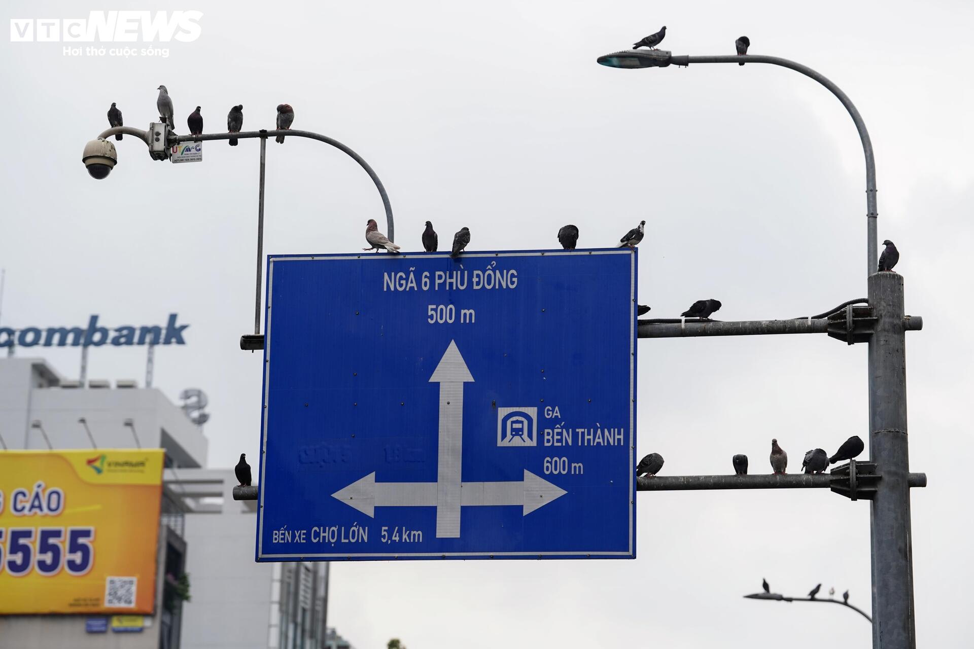 Xe đạp c&ocirc;ng cộng TP.HCM ế ẩm, du kh&aacute;ch ngại d&ugrave;ng v&igrave; l&yacute; do kh&oacute; tin- Ảnh 11.