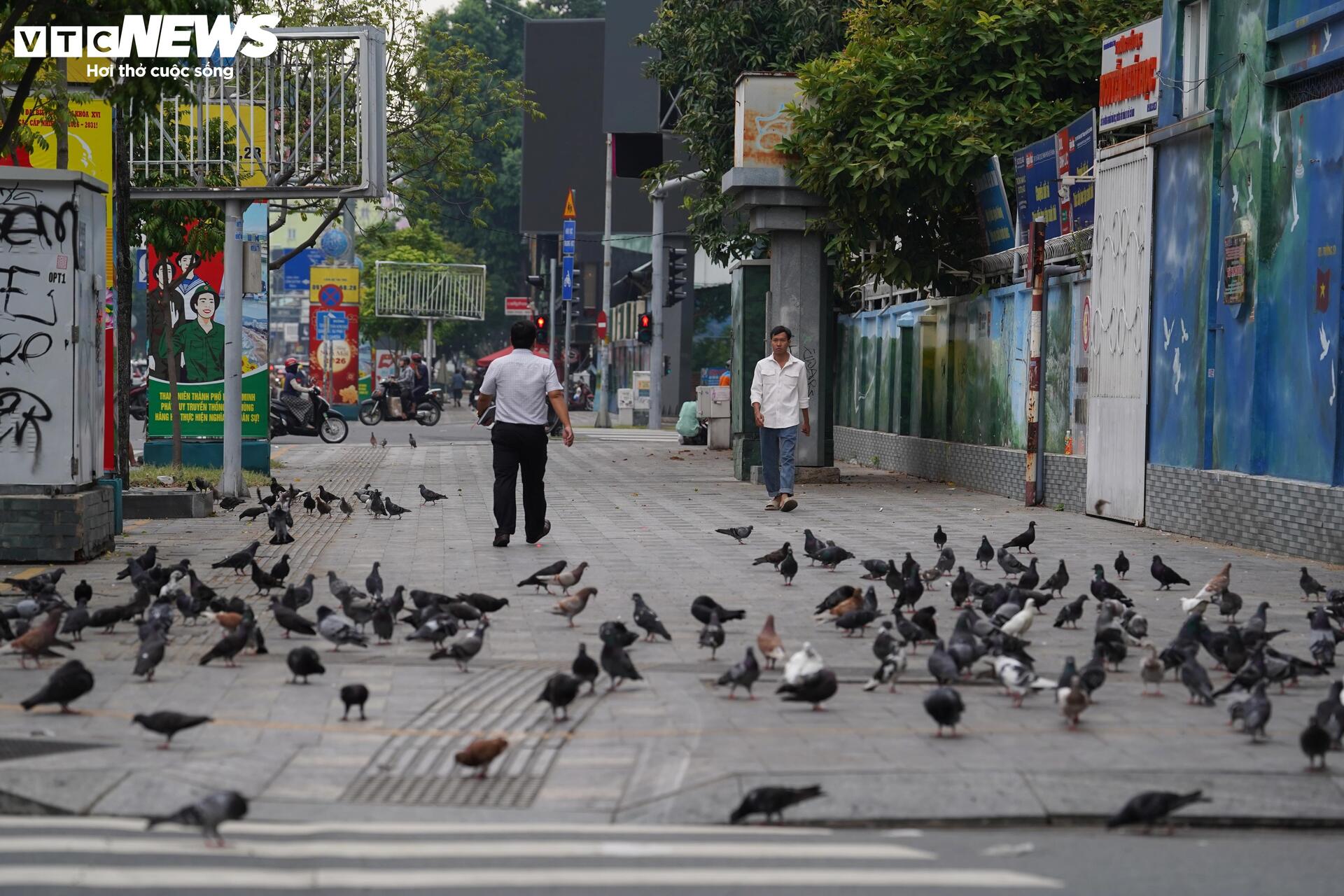 Xe đạp c&ocirc;ng cộng TP.HCM ế ẩm, du kh&aacute;ch ngại d&ugrave;ng v&igrave; l&yacute; do kh&oacute; tin- Ảnh 10.