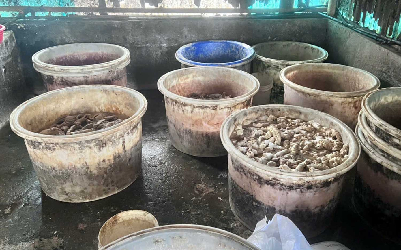 Hơn 55 tấn l&ograve;ng, dạ d&agrave;y v&agrave; ch&acirc;n g&agrave; kh&ocirc;ng r&otilde; nguồn gốc trong kho doanh nghiệp ở Hải Ph&ograve;ng- Ảnh 4.