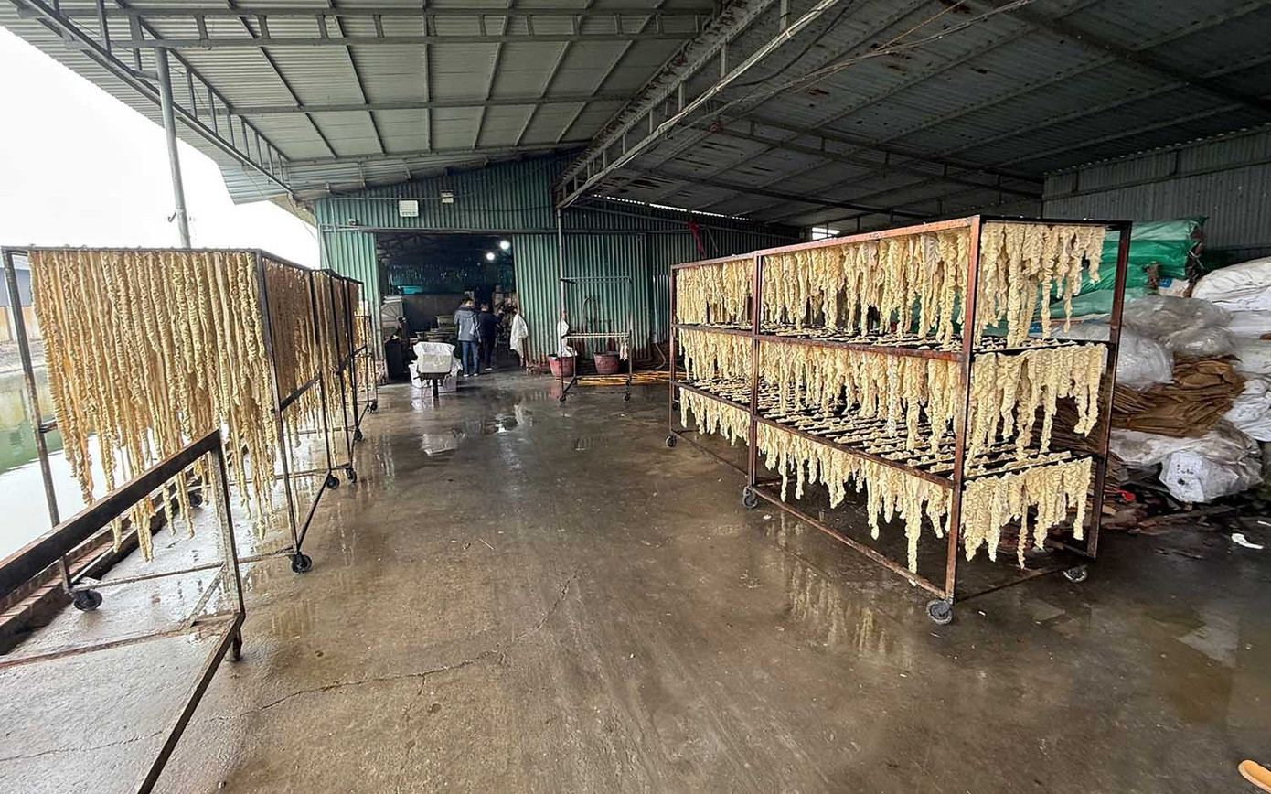 Hơn 55 tấn l&ograve;ng, dạ d&agrave;y v&agrave; ch&acirc;n g&agrave; kh&ocirc;ng r&otilde; nguồn gốc trong kho doanh nghiệp ở Hải Ph&ograve;ng- Ảnh 2.