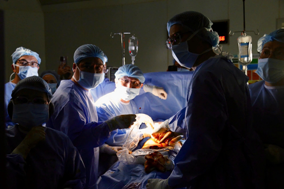 Nhịp đập trở lại, hy vọng nở hoa- Ảnh 1. Nhịp đập trở lại, hy vọng nở hoa- Ảnh 1.