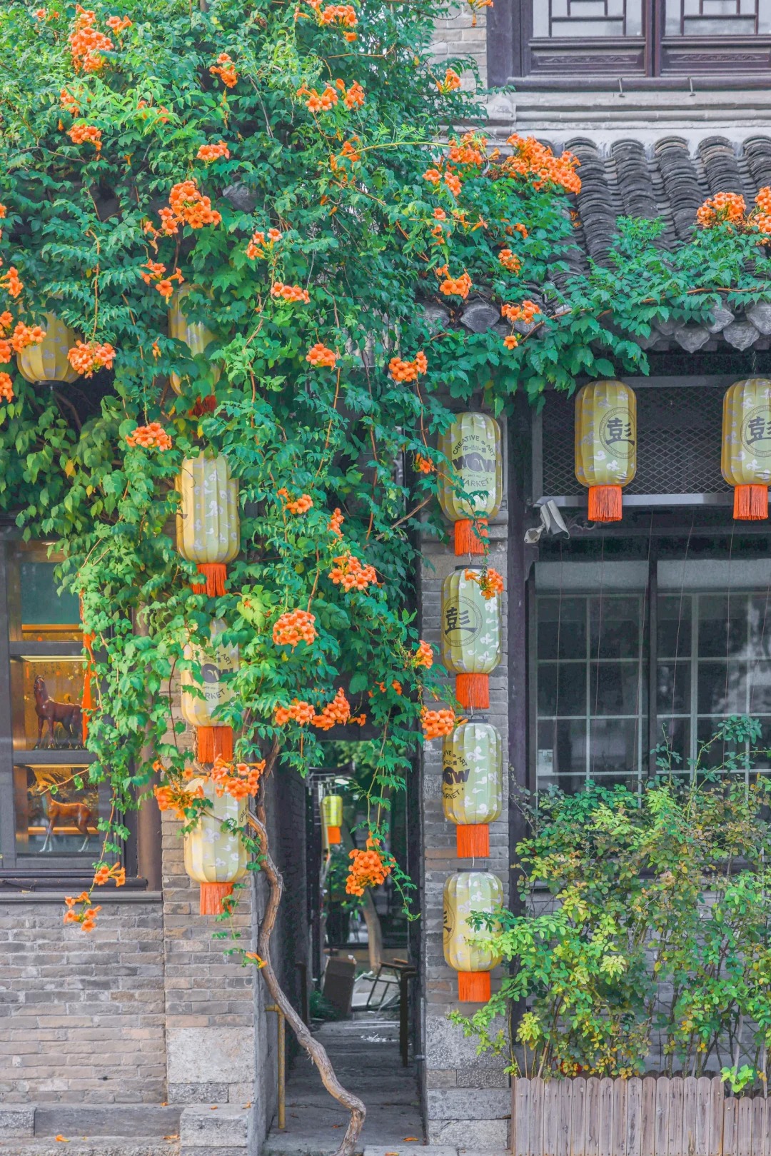 Đừng dại trồng 8 loại cây này trong nhà và sân vườn: Đẹp trước mắt, “đau ví” về sau- Ảnh 2. Đừng dại trồng 8 loại cây này trong nhà và sân vườn: Đẹp trước mắt, “đau ví” về sau- Ảnh 2.