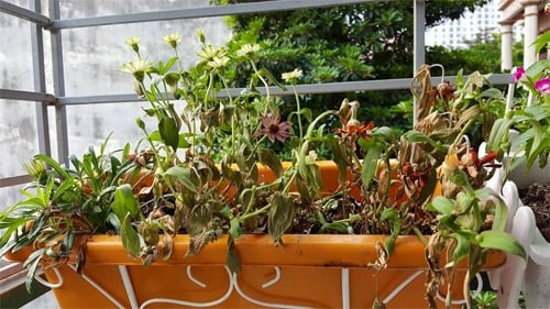 7 dấu hiệu nhận biết ngôi nhà 7 dấu hiệu nhận biết ngôi nhà