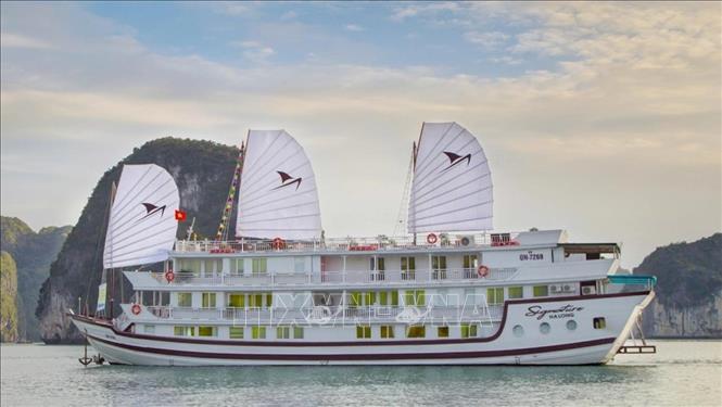 Cháy tàu du lịch trên vịnh Hạ Long- Ảnh 3. Cháy tàu du lịch trên vịnh Hạ Long- Ảnh 3.