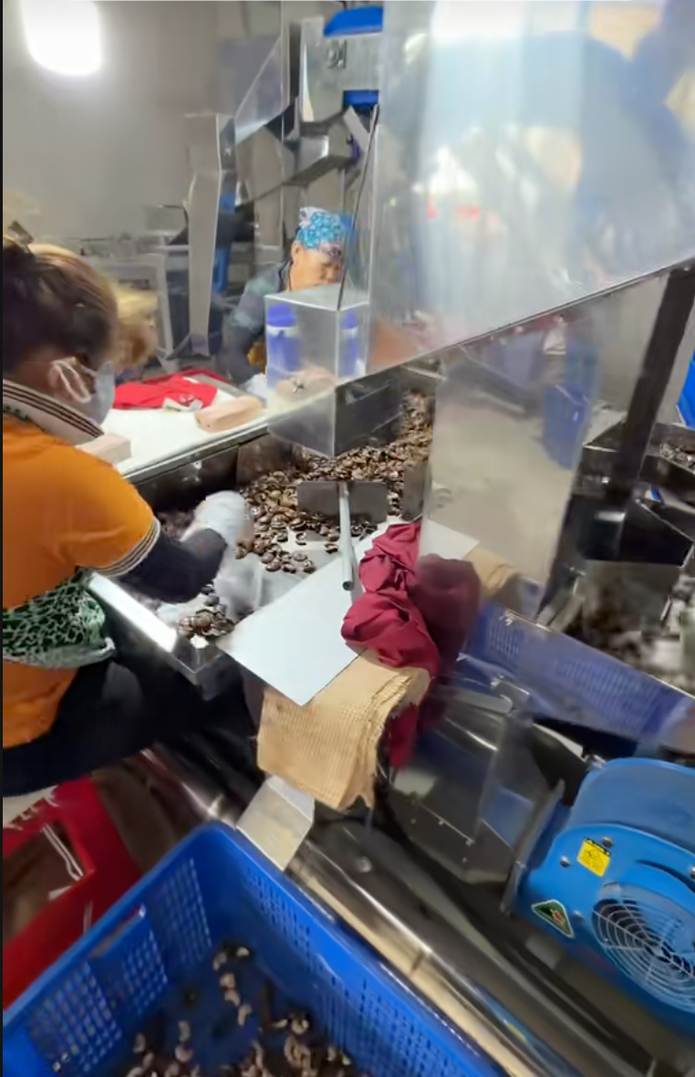 C&ocirc; d&acirc;u T&acirc;y Ninh lấy chồng Campuchia: Cưới xong về cơ ngơi triệu đ&ocirc;, th&acirc;n thế năm 19 tuổi đ&atilde; khiến người ta cho&aacute;ng v&aacute;ng- Ảnh 4.