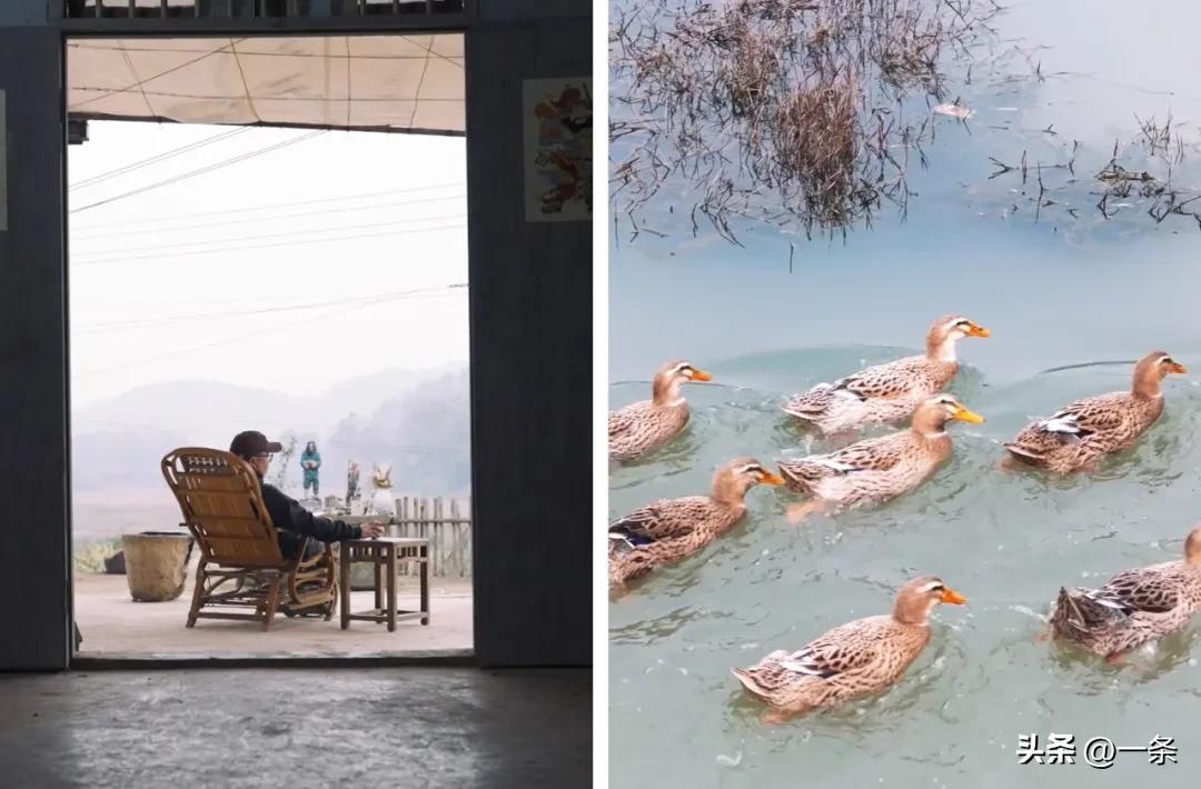 Rời đô thị, 7 thanh niên lên núi sống tự cung tự cấp: mỗi tháng chỉ tiêu 2 triệu đồng, 4 năm không mua quần áo vẫn đầy hạnh phúc- Ảnh 6. Rời đô thị, 7 thanh niên lên núi sống tự cung tự cấp: mỗi tháng chỉ tiêu 2 triệu đồng, 4 năm không mua quần áo vẫn đầy hạnh phúc- Ảnh 6.