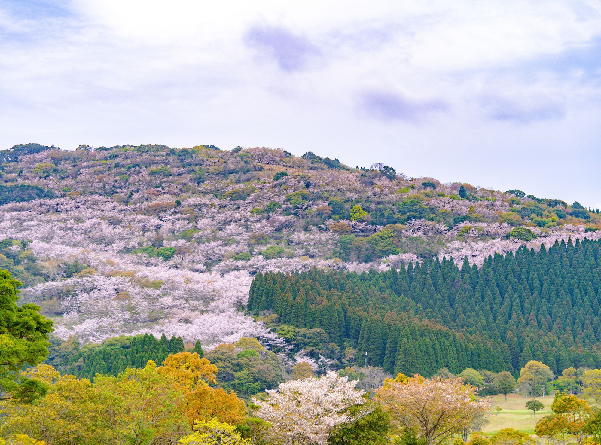 Nhật Bản lọt top điểm đến l&yacute; tưởng nhất 2026 d&agrave;nh cho gia đ&igrave;nh - v&agrave; l&yacute; do kh&ocirc;ng chỉ c&oacute; hoa anh đ&agrave;o- Ảnh 1.