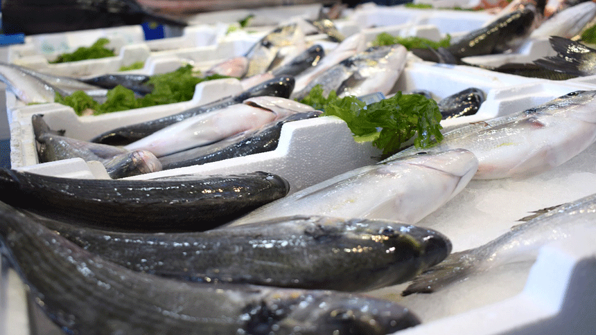 Người đ&agrave;n &ocirc;ng su&yacute;t phải chạy thận, kim loại nặng trong cơ thể cao gấp 6 lần v&igrave; ng&agrave;y n&agrave;o cũng ăn 1 loại c&aacute;- Ảnh 2.