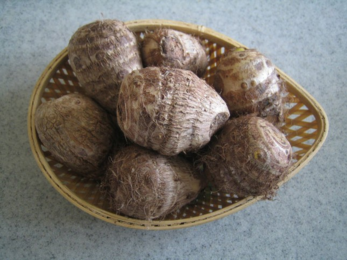 Loại củ &iacute;t "ngậm" thuốc trừ s&acirc;u, bổ ngang thịt c&aacute; m&agrave; &iacute;t ai hay- Ảnh 4.
