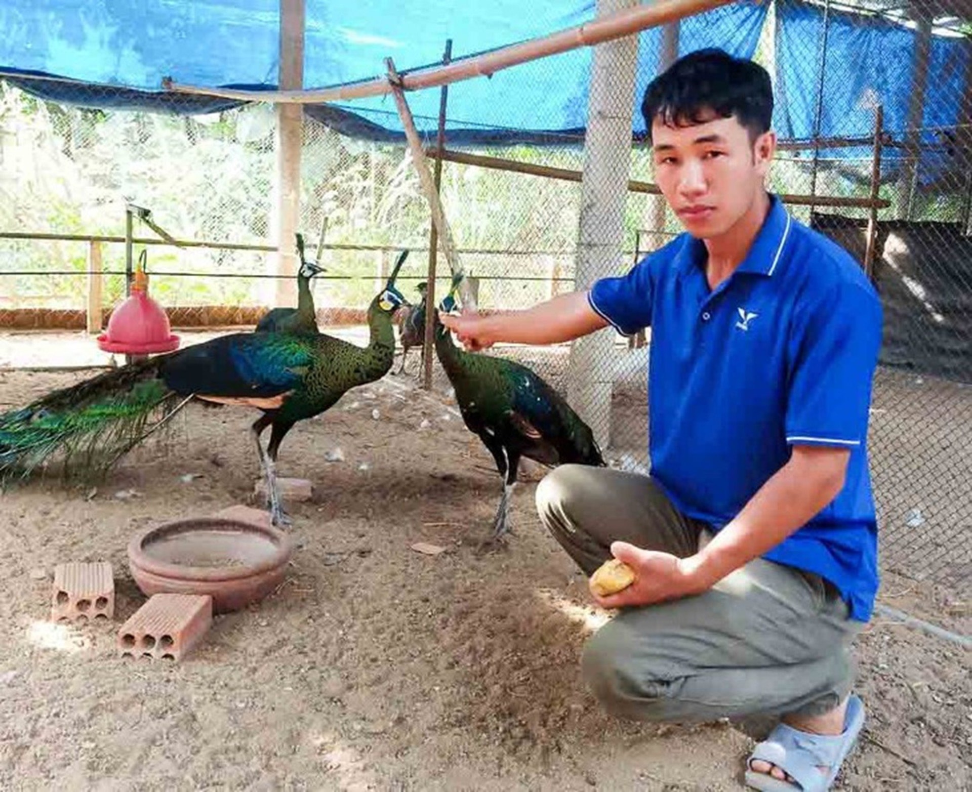 Bỏ phố về qu&ecirc; nu&ocirc;i lo&agrave;i chim qu&yacute; hiếm, anh kỹ sư thu l&atilde;i 1 tỷ đồng/năm- Ảnh 2.