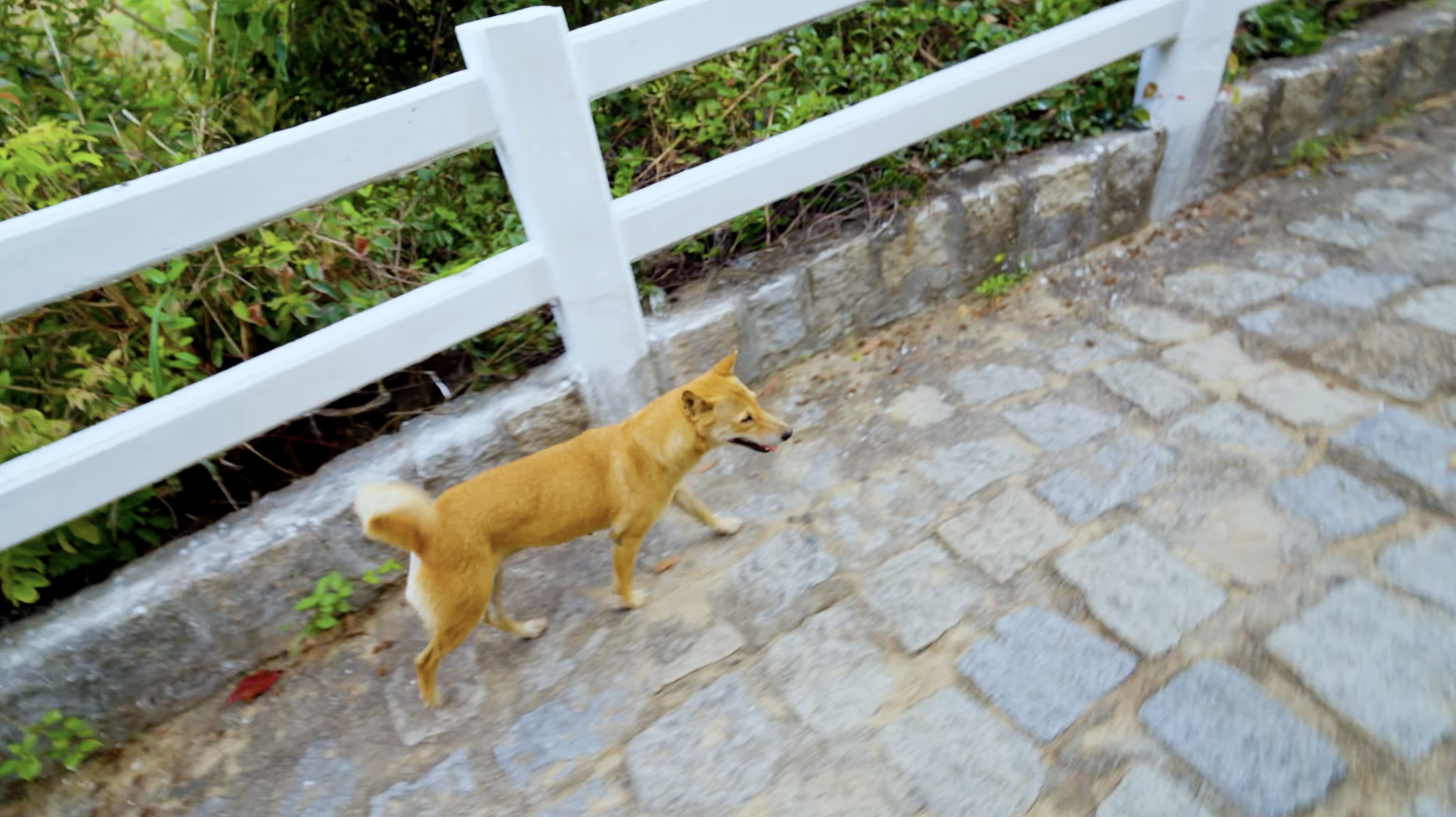 Bị bóc phốt thái độ chảnh chọe nhưng Bị bóc phốt thái độ chảnh chọe nhưng