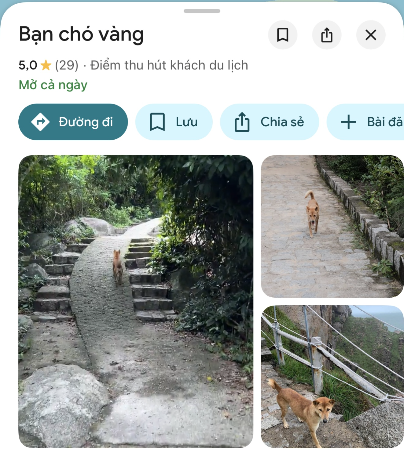 Bị bóc phốt thái độ chảnh chọe nhưng Bị bóc phốt thái độ chảnh chọe nhưng