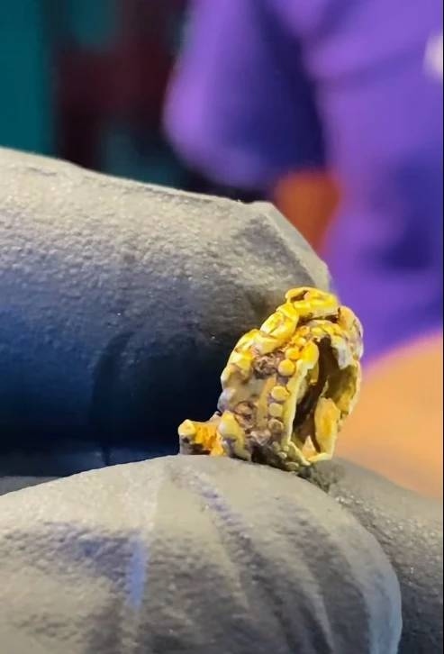 Nhặt được v&agrave;ng khi đi đ&aacute;nh c&aacute;, ngư d&acirc;n mang đi kiểm tra th&igrave; sốc nặng- Ảnh 2.