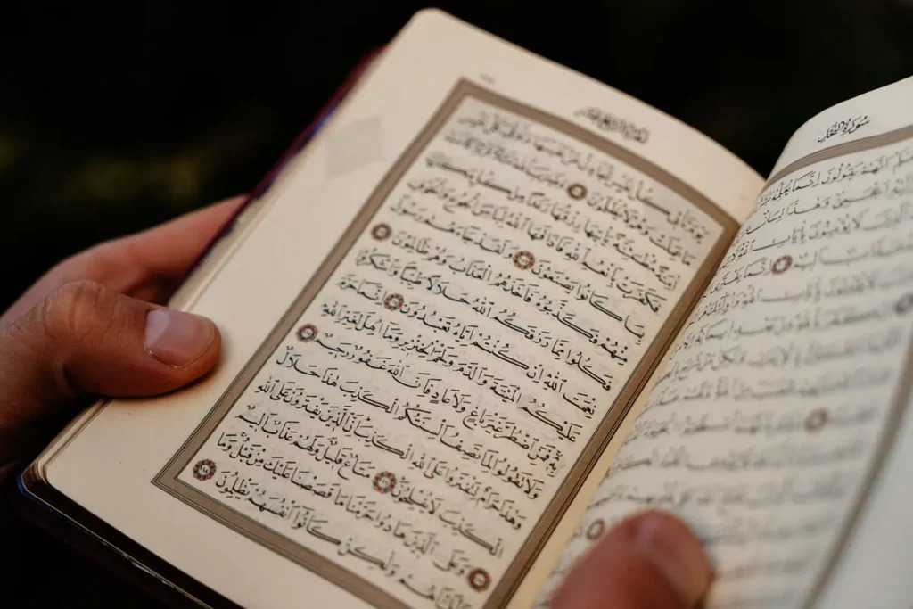 Top 4 ng&ocirc;n ngữ &iacute;t người học nhưng cơ hội việc l&agrave;m cao, AI khuy&ecirc;n n&ecirc;n tham khảo ngay- Ảnh 1.